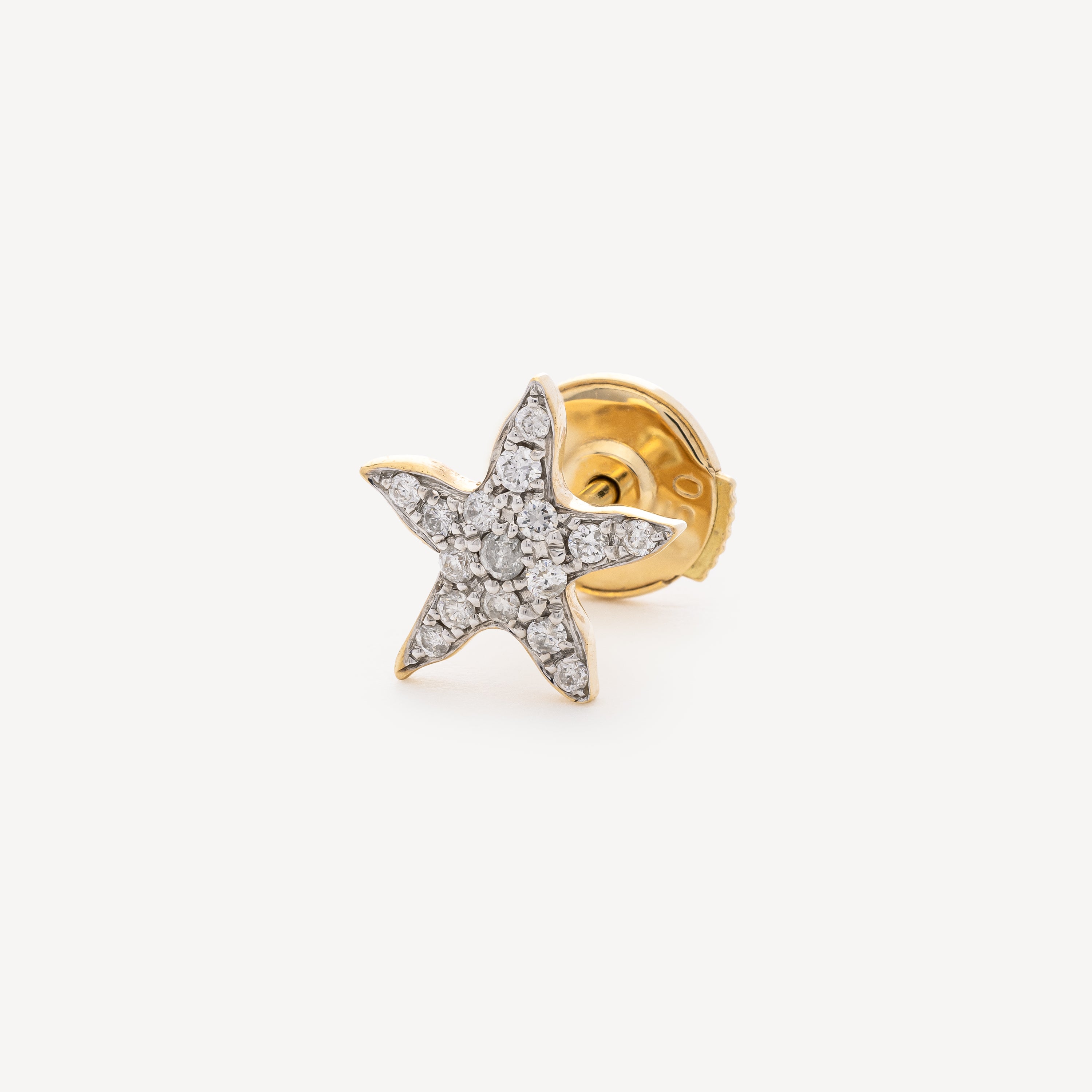 Mini Starfish Earring