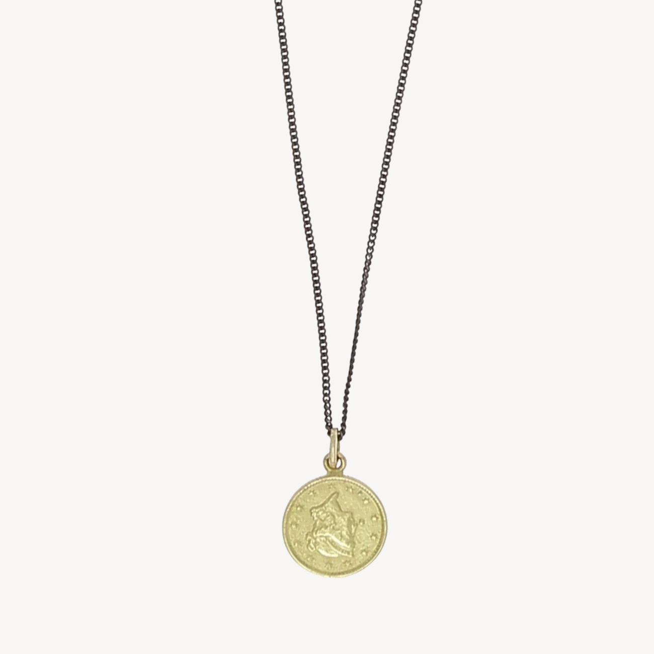 One Dollar necklace Rose Gold