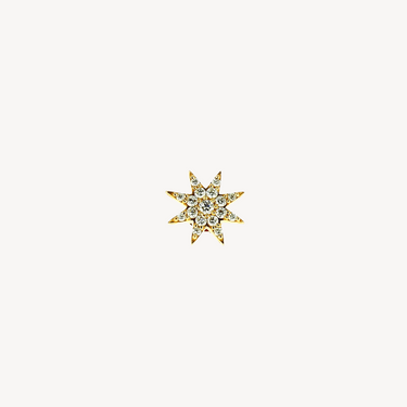 Venus Star earring