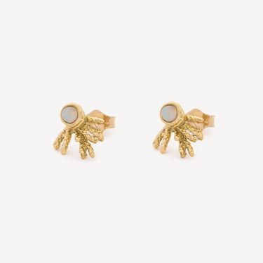 Boucles d'Oreilles Studs Opale