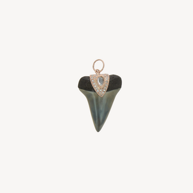 Shark Tooth Charm