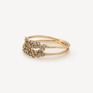 Double Irregular Ring