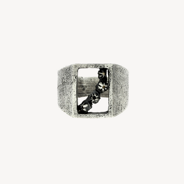 Punctured Rectangular Ring